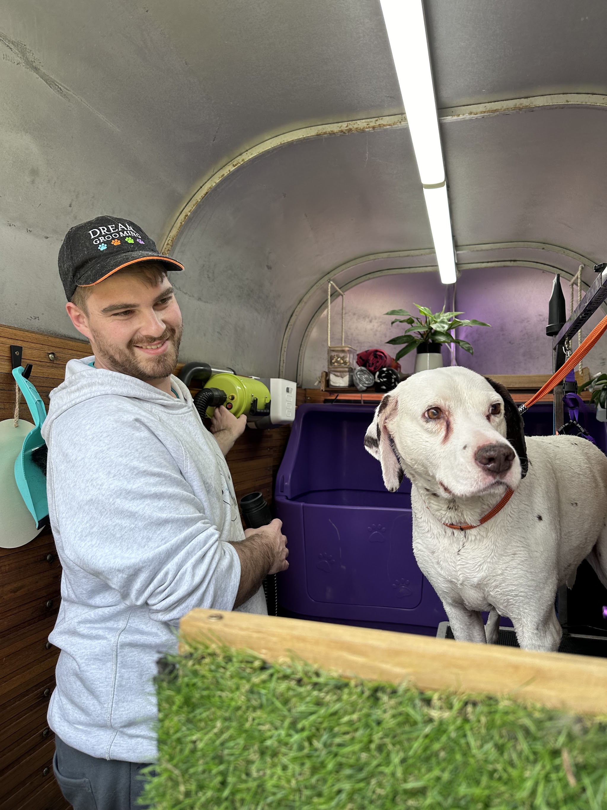 Liam in a Dream Grooming cap drying a dog inside the fitted out horse float